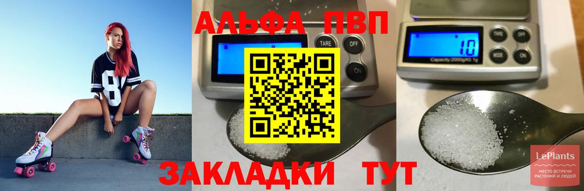 A PVP СК Бийск