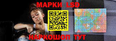 стаф Аргун