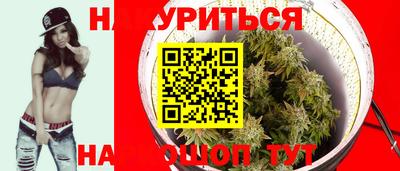 стаф Аргун