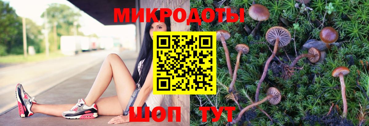 Галлюциногенные грибы мухоморы Бийск
