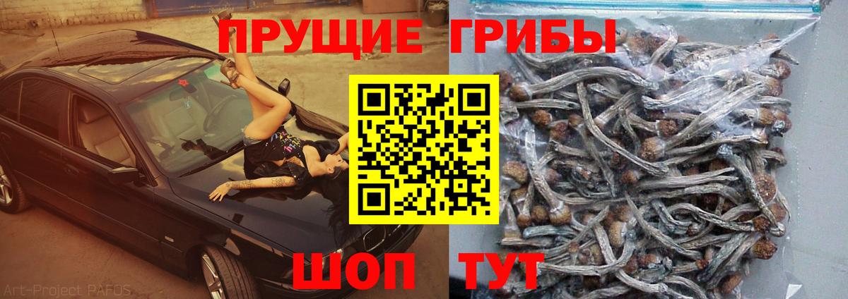 Псилоцибиновые грибы Magic Shrooms  Бийск  Псилоцибиновые грибы прущие грибы 