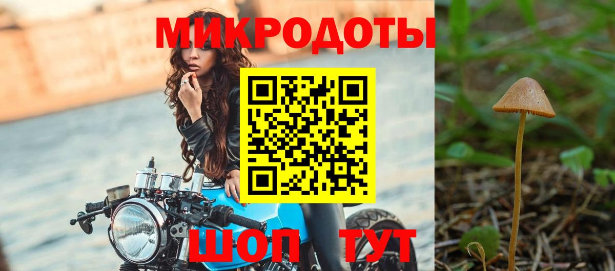 Галлюциногенные грибы Psilocybine cubensis  Псилоцибиновые грибы MAGIC MUSHROOMS  Бийск  Вход с VPN 