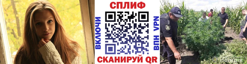 Каннабис семена  где можно купить   Бийск 